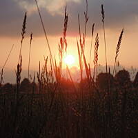 Zakochałam się )))