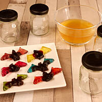 Nietoperze w formalinie