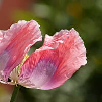 Bieszczady i Podlasie czyli lato 2015