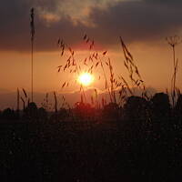 Zakochałam się )))