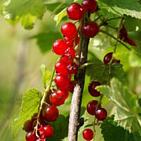 Bieszczady i Podlasie czyli lato 2015