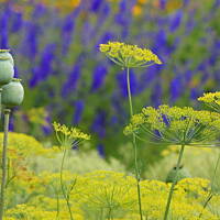 Bieszczady i Podlasie czyli lato 2015