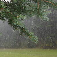 Kaszuby, Podlasie, Mazury czyli lato 2017r.