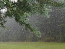 Fot. smakosia, Kaszuby, Podlasie, Mazury czyli lato 2017r.