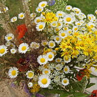 Kaszuby, Podlasie, Mazury czyli lato 2017r.