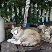 Bieszczady i Podlasie czyli lato 2015