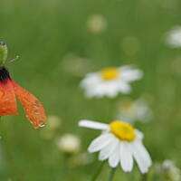 Kaszuby, Podlasie, Mazury czyli lato 2017r.