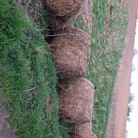 Piękno natury... :)