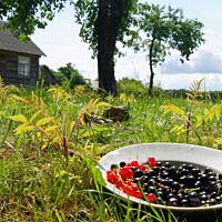 Bieszczady i Podlasie czyli lato 2015
