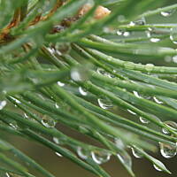 Kaszuby, Podlasie, Mazury czyli lato 2017r.