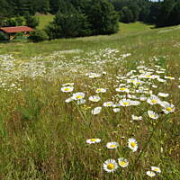 Kaszuby, Podlasie, Mazury czyli lato 2017r.