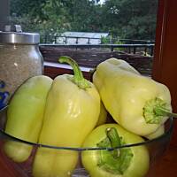 ogrodowo ... cz.5 (juź jesiennie)