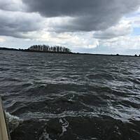 Rzeka Dziwna, wyspa kormoranów