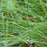 Kaszuby, Podlasie, Mazury czyli lato 2017r.