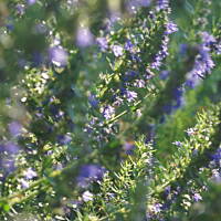 Kaszuby, Podlasie, Mazury czyli lato 2017r.