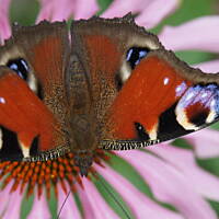 Kaszuby, Podlasie, Mazury czyli lato 2017r.