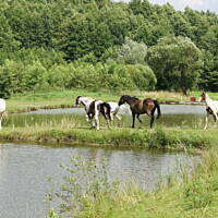Kaszuby, Podlasie, Mazury czyli lato 2017r.