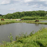 Kaszuby, Podlasie, Mazury czyli lato 2017r.