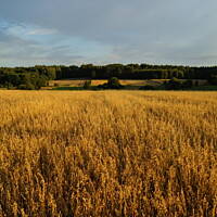 Kaszuby, Podlasie, Mazury czyli lato 2017r.