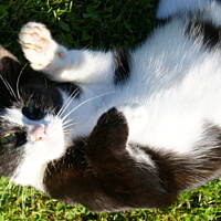 Kaszuby, Podlasie, Mazury czyli lato 2017r.