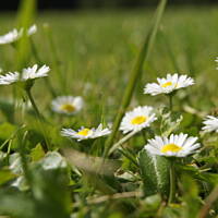 Kaszuby, Podlasie, Mazury czyli lato 2017r.