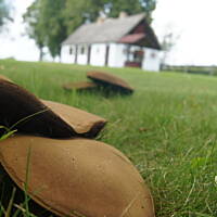 Kaszuby, Podlasie, Mazury czyli lato 2017r.