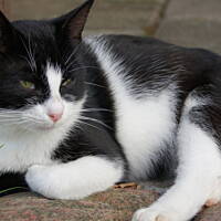 Kaszuby, Podlasie, Mazury czyli lato 2017r.