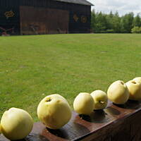 Kaszuby, Podlasie, Mazury czyli lato 2017r.