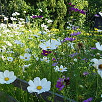 Kaszuby, Podlasie, Mazury czyli lato 2017r.