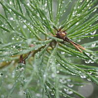 Kaszuby, Podlasie, Mazury czyli lato 2017r.