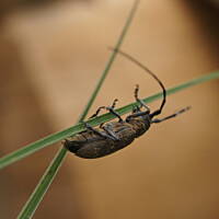 Kaszuby, Podlasie, Mazury czyli lato 2017r.