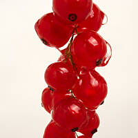 Czerwona porzeczka to więcej niż pestki