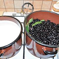 nalewka z aronii i liści wiśni wg babci Małgosi