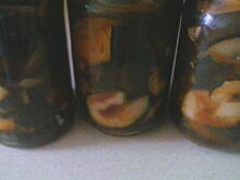 Fot. Manga2185, Sałatka na nadmiar cukinii