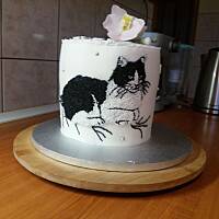 kilka moich tortów.