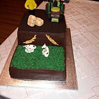 kilka moich tortów.