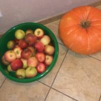 Dżem dyniowo-jabłkowy