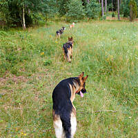 Fajnie mieć kumpli :)