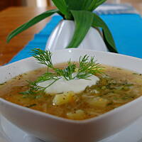 Kapuśniak z młodej kapusty