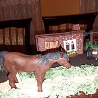 kilka moich tortów.