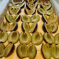 Drożdżowe mocno śliwkowe 