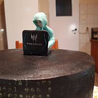 kilka moich tortów.