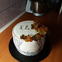 kilka moich tortów.