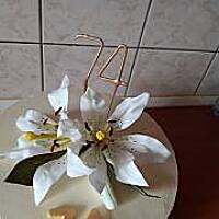 kilka moich tortów.