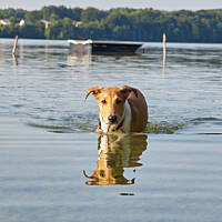 Pływać niestety nie lubię, ale pobrodzić mogę :)