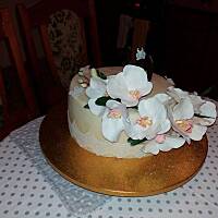 kilka moich tortów.