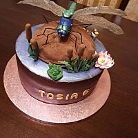 kilka moich tortów.