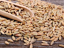 Fot. Dan Cake Polska, TRZY ZIARNA DLA ZDROWIA I URODY