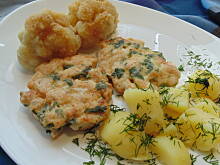 Fot. megi65, Koltet sokólski 