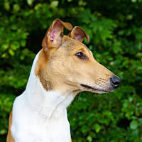 Mordha - niecałe 5 miesięcy :)